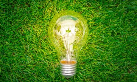 Eco-friendly home trends