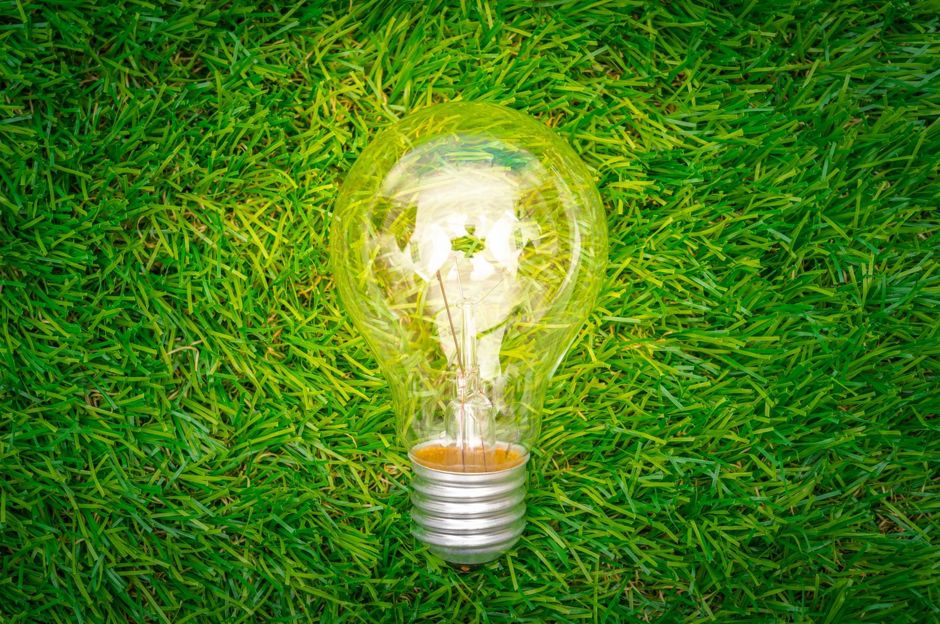 Eco-friendly home trends