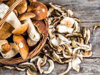 How to Store Mushrooms? Freezing, Drying, and Preservation of Mushrooms!