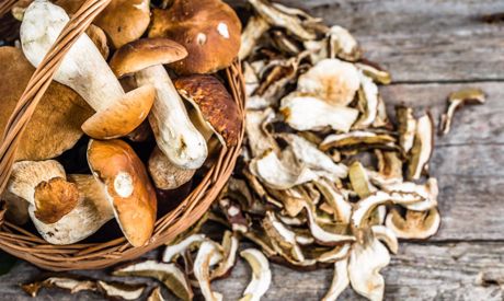 How to Store Mushrooms? Freezing, Drying, and Preservation of Mushrooms!