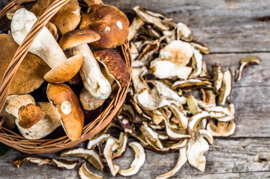 How to Store Mushrooms? Freezing, Drying, and Preservation of Mushrooms!