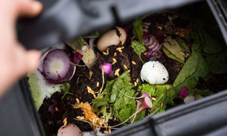 The Latest Trends For Your Garden: Which Pergolas Are In, And Why You Should Compost?