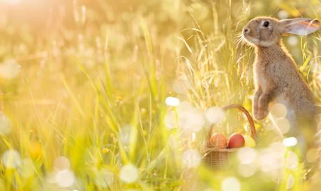 How to celebrate Easter at home