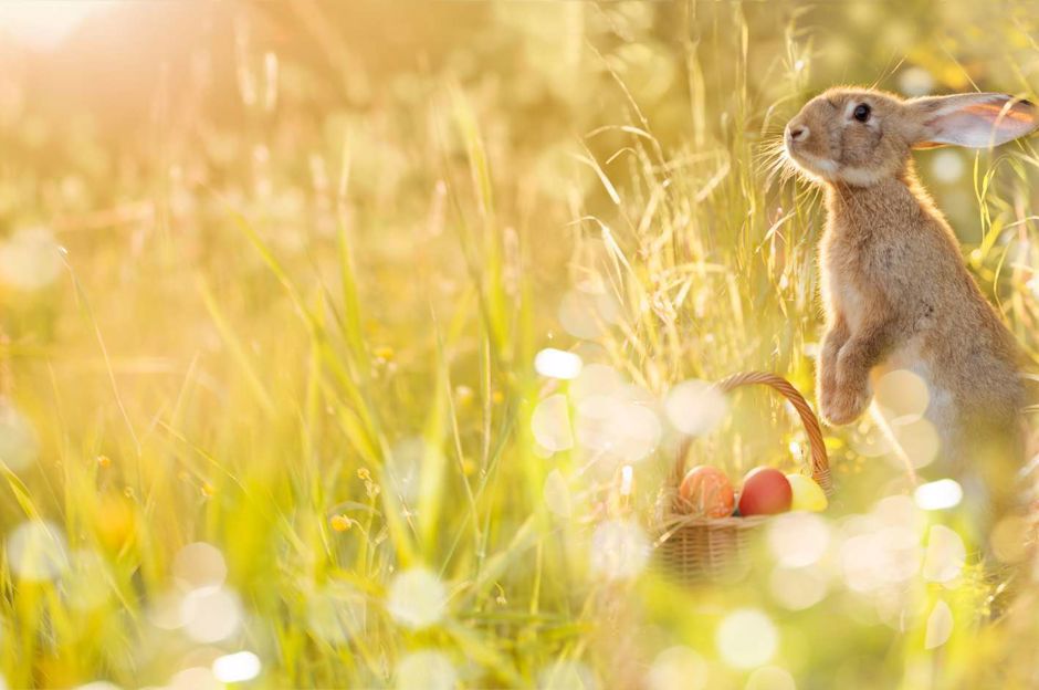 How to celebrate Easter at home