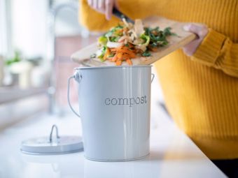 How to start composting: you can have a vermicomposter in your apartment