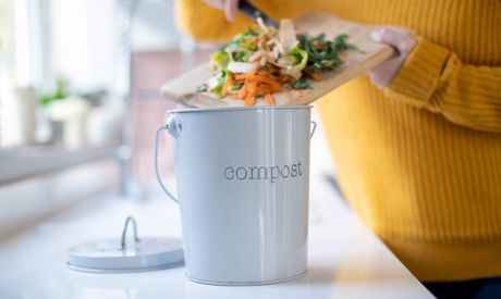How to start composting: you can have a vermicomposter in your apartment