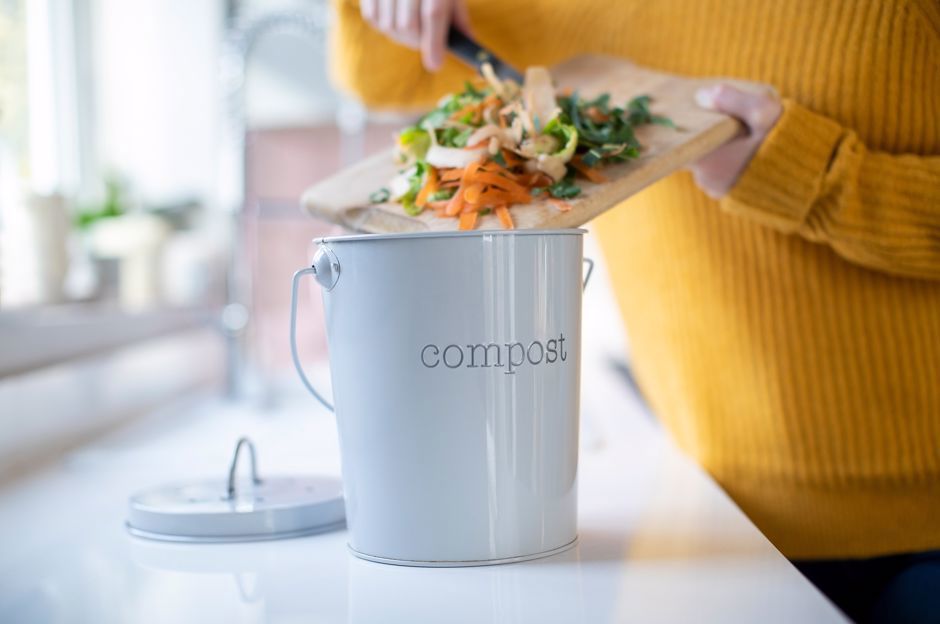 How to start composting: you can have a vermicomposter in your apartment